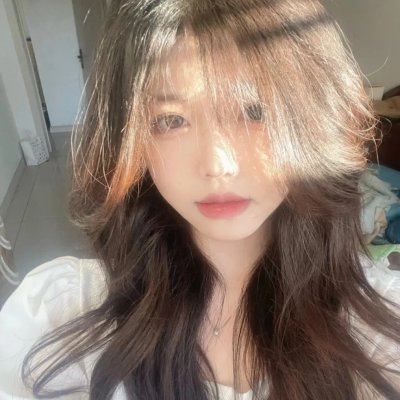 高卢英雄英游记 海报